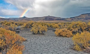 a rainbow brings color to the over the yellow native brush and gray playa at Coglan Butte