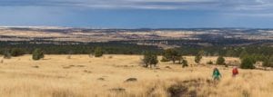 Suggestions that will help you travel safely through the high desert of eastern Oregon and enjoy fragile places responsibly.   