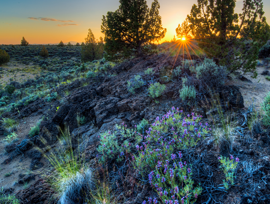 Badlands Fence and Trail Work Day #2 - Oregon Natural Desert Association