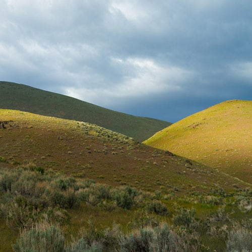 Sagebrush-covered rolling hills near Beaty's Butte in the greater Hart-Sheldon region.