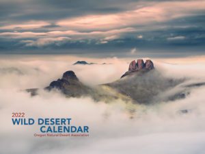 2022 Wild Desert Calendar
