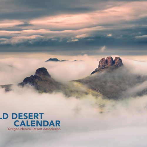 2022 Wild Desert Calendar