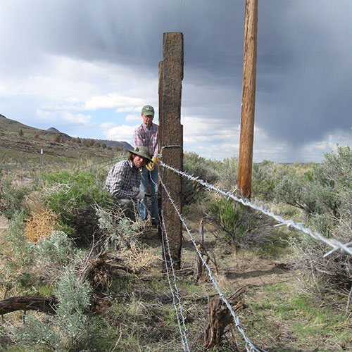 Volunteers work to remove barbed wire fence