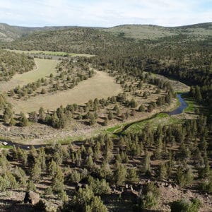 View of a bend in the South Fork Crooked River