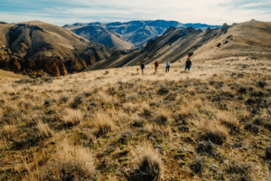 hikers in the Owyhee Canyonlands