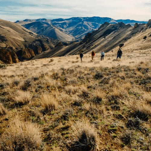 hikers in the Owyhee Canyonlands
