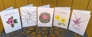 wildflower note cards