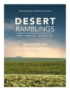 Desert Ramblings spring+summer 2021 cover