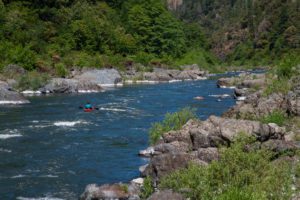 Rafters on the Rogue River