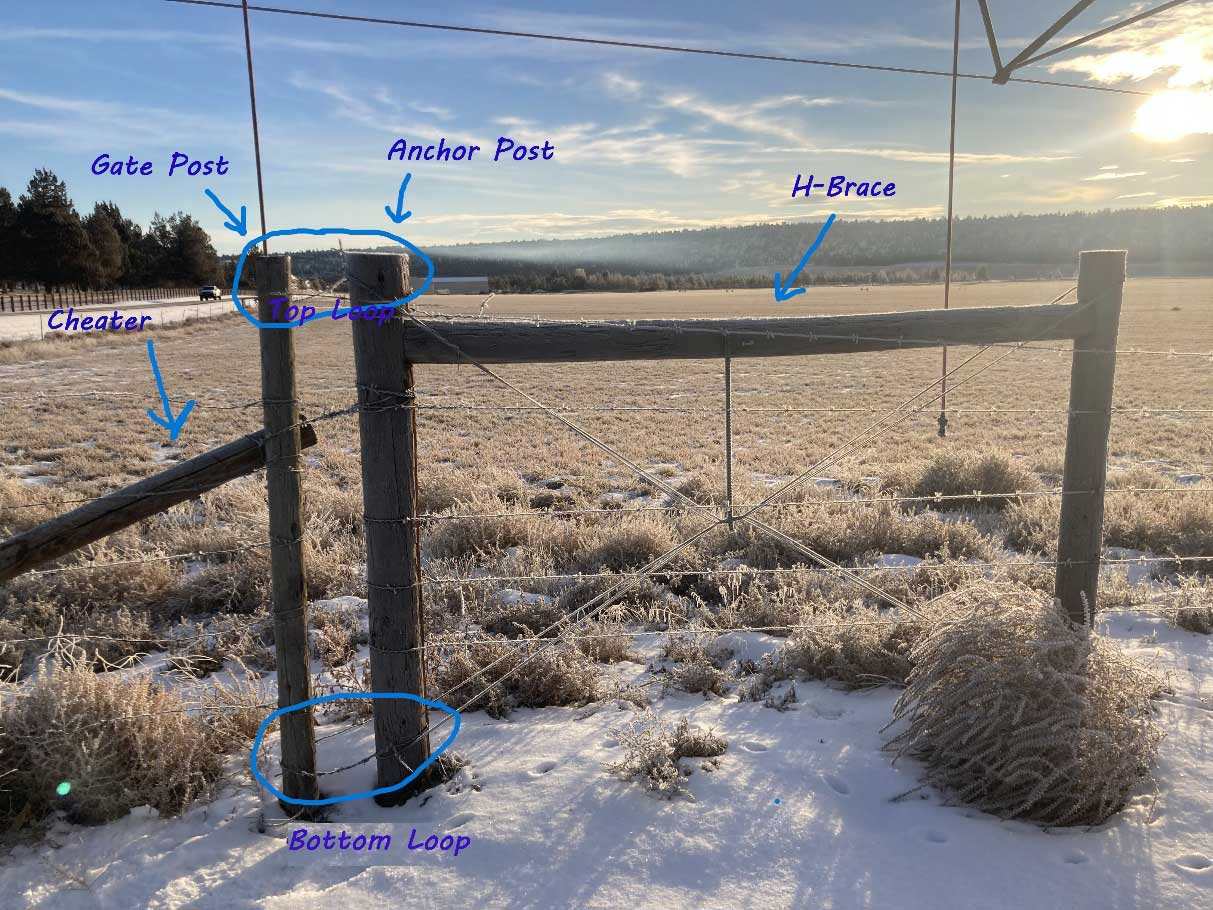 How-To: Tips for Opening and Closing Barb Wire Gates - Oregon Natural  Desert Association