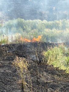 Fire burning along Pine Creek