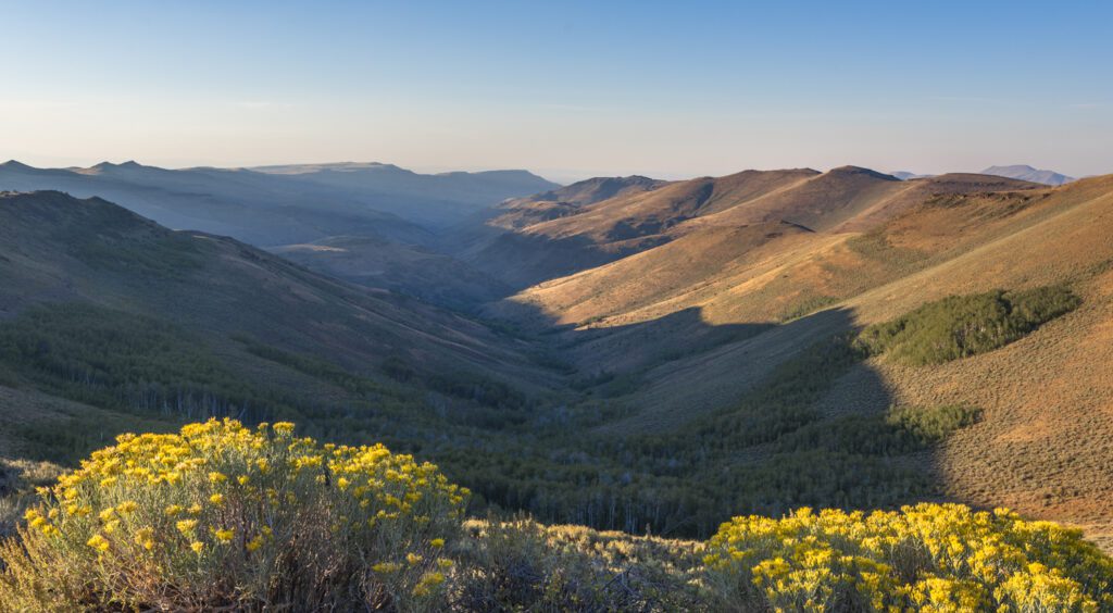 View from the summit of the Oregon Canyon Mountains