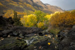 Big Indian Gorge in the fall shows a waterfall and colorful foliage.