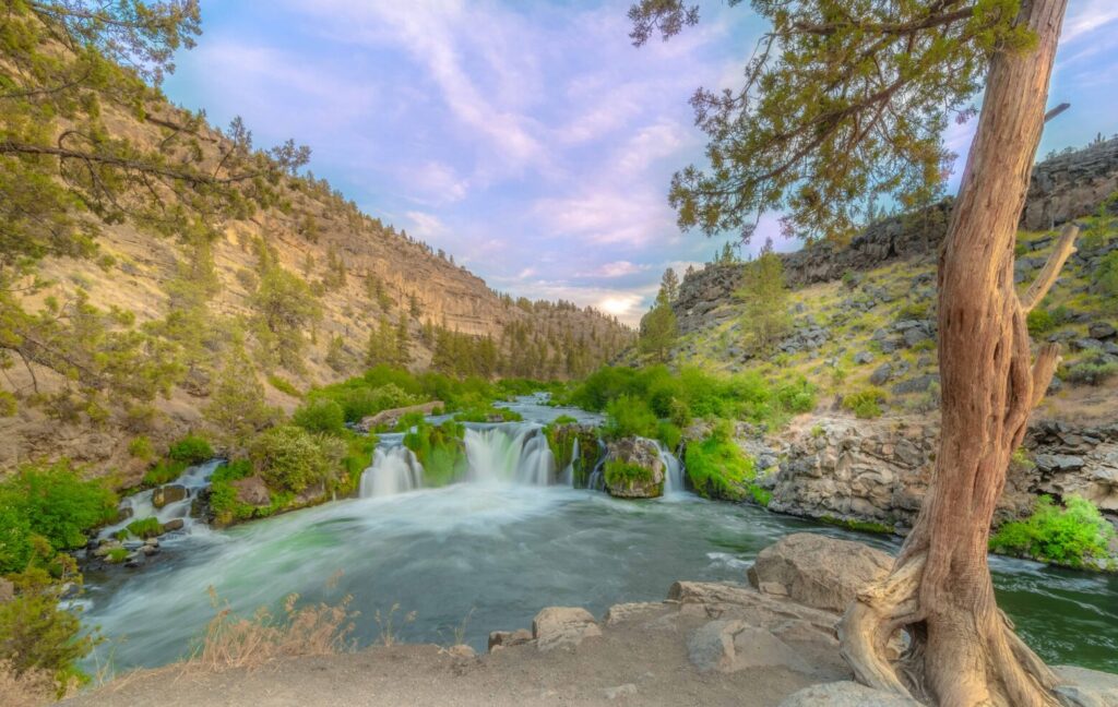 Steelhead falls