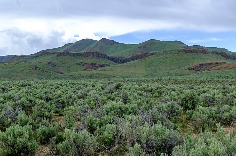 McDermitt Caldera sagebrush sea